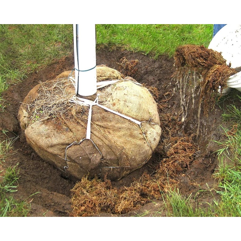 Mosser Lee Sphagnum Peat Long Fibered Moss ORCHID Mosser Lee