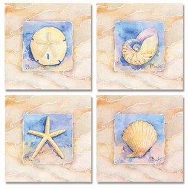 wallsthatspeak 4 Sea Shell Water Color Art Prints Sand Dollar Starfish Beach Decor 8 x 8