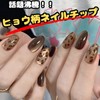Liberte555 Nail Tip, Leopard Pattern, Gal Long, Gal, Cute, Glitter,