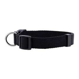 Native Pup Basic Nylon Dog Collar, Adjustable for Small, Medium, Large pet and Puppies Accessories, Cute Colors for Male, Female, boy, Girl, Puppy (Medium, Black)