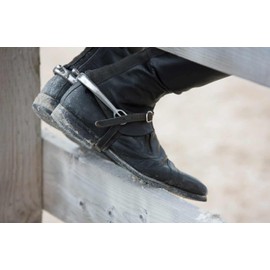 Harry's Horse Swan Neck Spurs Women's 40 mm with Gooseneck