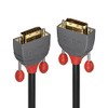 LINDY 36221 DVI-D Dual Link Cable - Anthra Line Black,