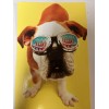american greetings To Cool For School Puppy Birthday Card Retail
