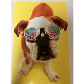 american greetings To Cool For School Puppy Birthday Card Retail Price 3.29