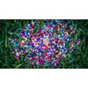 Fiesta Confetti.Value Mexican Colorful Paper Confetti. Jumbo Bag .95lb/425gr.