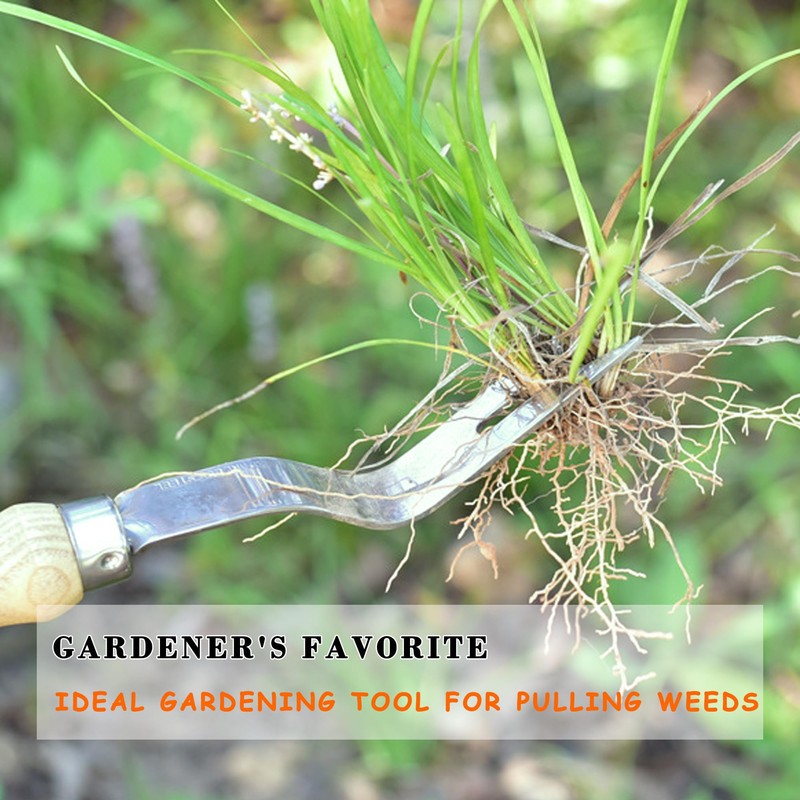 SHANFEEK Weed Puller With V-Shape Fork Gardening Hand Tool 12-Inch