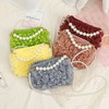 HAOBIN Pack of 2 Pearl Handle Chain Bag Chain Pearl