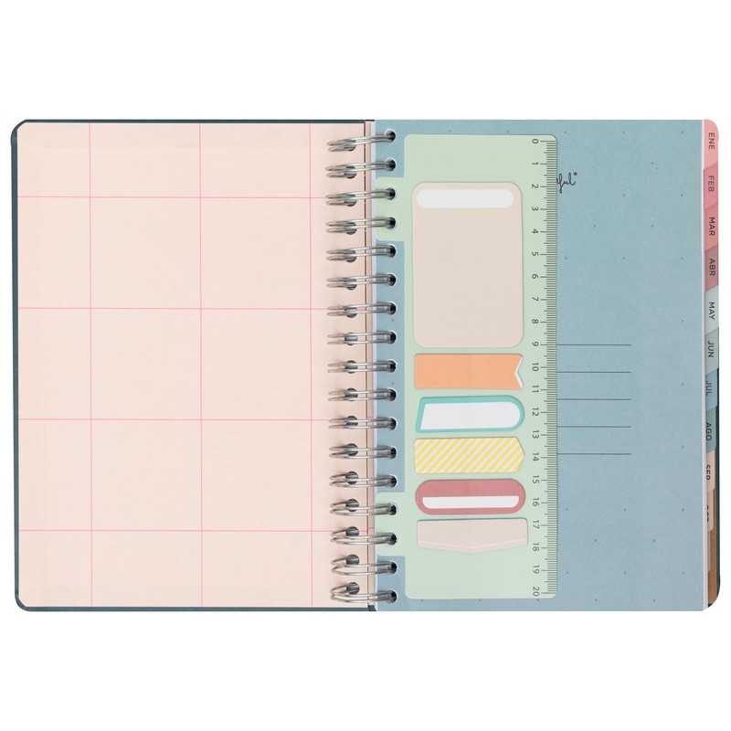 Mr. Wonderful Office 2025 Diary - A Very Wonderful Year