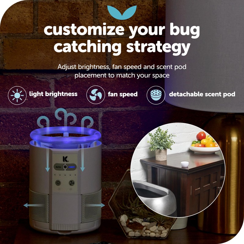 Katchy Duo Indoor Insect Trap with Scent Pod - Fan