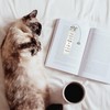 Cat Bookmark - Book Lover Gifts, Gifts for Cat Lovers,