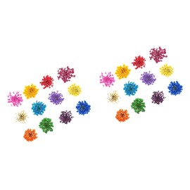 Ipetboom Pcs Real Dried Flowers for Nail Art Colors d Stickers Nail Stickers Supplies