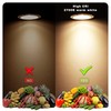 ALIDE MR16 3W Led Bulbs 20W Halogen Equivalent,2700K Soft Warm