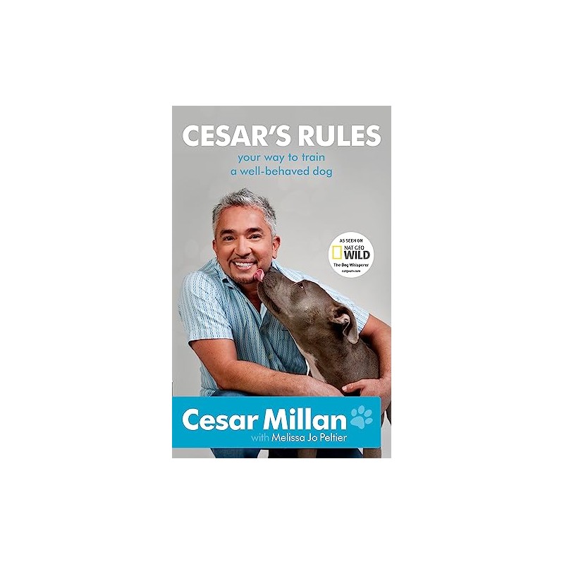 Cesar's Rules