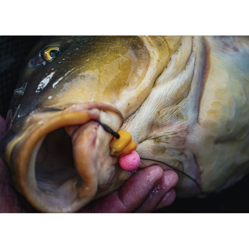 Tandem Baits SuperFeed Fluo Mini Pop-Up Red Krill, Mini Pop-Up