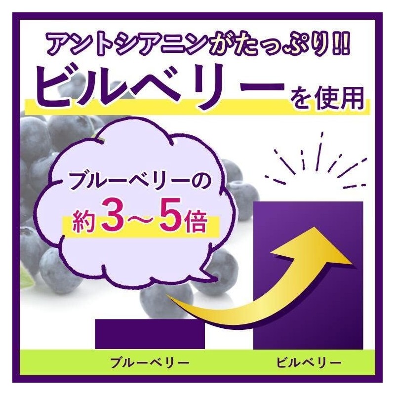 渡邊薬品 ブルーベリー ルテインプラス ビルベリー 60粒 3袋セット