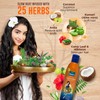 Parachute Advansed Parachute Advansed Ayurvedic Coconut hair oil & Rosemary