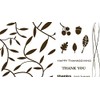 We R Memory Keepers Letterpress Printing Plate Set, Thicket