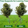 12 Pack Tree Stakes and Supports 15.7 Inch Heavy Duty