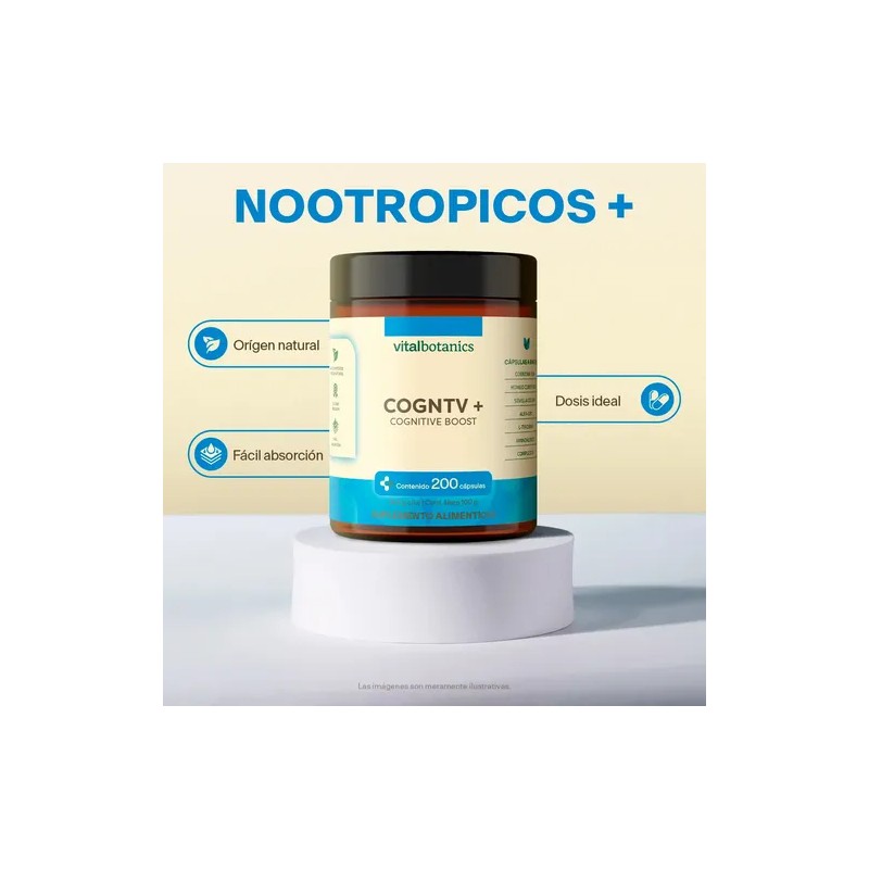 Vitalbotanics Nootropico Con Melena De Leon Con 200 Caps