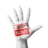 Alternative Health Research LLC GC® GoutCare - #1221- Powerful Uric