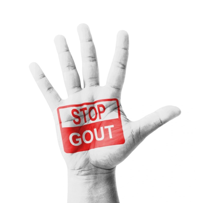 Alternative Health Research LLC GC® GoutCare - #1221- Powerful Uric
