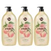Shower Mate 샤워메이트 바디워시 바디클렌져 복숭아 1.2kg 3개 Shower Mate