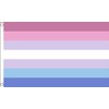 Flagtex Bigender Flag