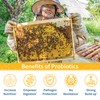 SuperDFM-HoneyBee, Probiotic Supplement for Honey Bees, 50 Applications