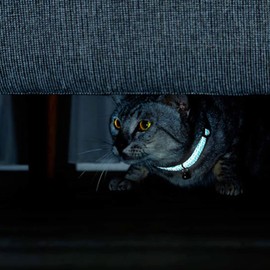 Petio Cat Collar, Flash Soft Cat Collar, Yellow