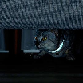 Petio Cat Collar, Flash Soft Cat Collar, Yellow