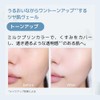Apure Waterrock Merenge Pore Filter Makeup Foundation