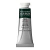 Winsor & Newton Professional Water Colour Paint, 14ml tube, Perylene Green