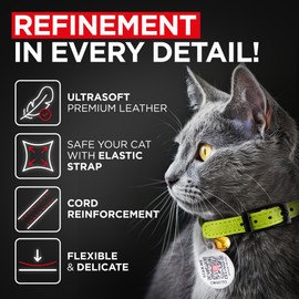 Leather Cat Collar with Bell & Elastic Strap - Pet Collar Leather - Leather Kitten Collar - Cats Small and Big Cat Collar for Boy Cats, Girl Cats with Safety Elastic Strap (Green, 6" - 8")
