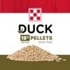 Purina Duck Feed for All Life-Stages, Nutritionally Complete (10 lbs)