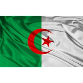 Algeria 12"x18" Single Sided Polyester Flag