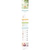 Clave Essence Collagen Vitamin Hyaluronic AC 300ml Large Capacity Esthetic