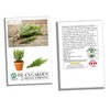 Rosemary Seeds for Planting, 100+ Heirloom Seeds Per Packet, (Isla's
