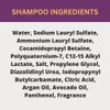 Black Canyon Dr Black Scented Argan Oil Hair Shampoo, 16