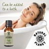 Natural Planet Spanish Rosemary Essential Oil 15ML Natural Pure &