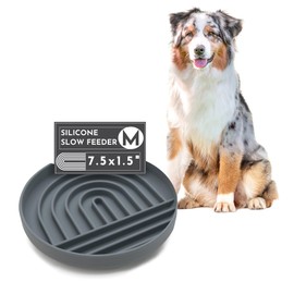 Should We Go? - The Slowdown Bowl - Silicone Slow Feeder for Dogs & Puppies, Slow Eating, Modern Lick Mat Design, Reduces Gulping, Dishwasher Fit, for All Breed, Mealtime Challenge, Medium-Charcoal
