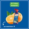 Poliboy Cleaning and Care Products for Various Surfaces in Different