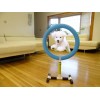 LUXURY Dog Agility Training Hoop Jump Indoor Outdoor Pet Show Equipment. Luxury.