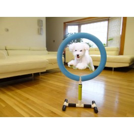LUXURY Dog Agility Training Hoop Jump Indoor Outdoor Pet Show Equipment. Luxury.