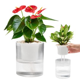 SENUN Slit Pot, Pot Cover, No. 3, Planter, Automatic Watering Tray, Scandinavian Style, Flowerpot, Stylish, Water Absorbent, Hydroponics, Transparent, Plastic, Planter Stand, Clear, Simple, Pot,