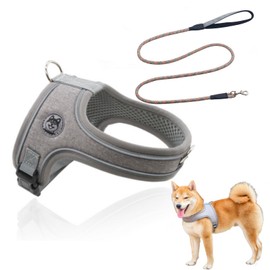 GIIPET-Dog Power Harness, Reflective Material, Comfortable, Throat Friendly, Nameplate, Dog Harness, Anti-Pull, For Medium and Small Dogs, Adjustable Size, Zero Tight Feeling