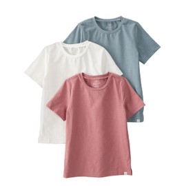 little planet by carter's unisex-baby 3-pack Tops Made With Organic Cotton, Blue/Ivory/Rose, 2T