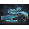 Ulmer Puzzleschmiede - Snake Dream Puzzle - Classic 1000 Piece