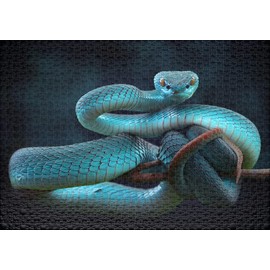 Ulmer Puzzleschmiede - Snake Dream Puzzle - Classic 1000 Piece Puzzle - Mystical Animal Photo with Exciting Snake Motif - The Blue Viper is a Puzzle for Advanced Puzzlers