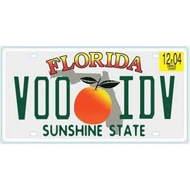 OPO 10 - USA CAR LICENSE PLATE - Metal Replica: FLORIDA (N13)
