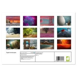 Digital landscapes (Monthly Wall Calendar 2025 16.5" x 23.4" (open)), CALVENDO 14 Month Calendar